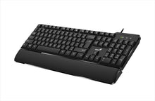 Genius Keyboard KB-100XP USB